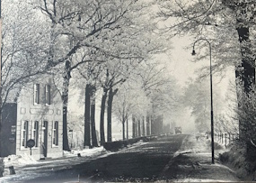 Cafe-Velletri-3-285px